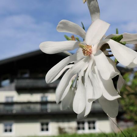 Haus Brandstatter Apartamento Eben Im Pongau Exterior foto