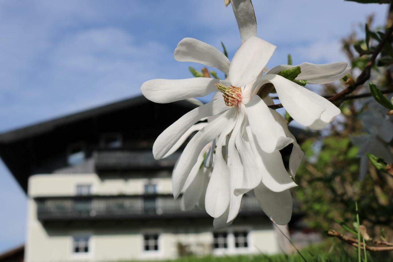 Haus Brandstatter Apartamento Eben Im Pongau Exterior foto